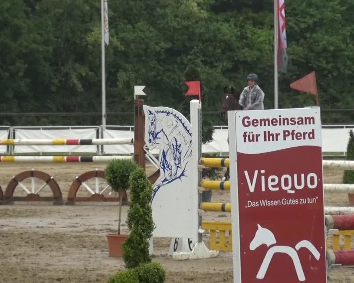 Zuchtstute Casandra (Rheinländer, 2000, von Calido I)