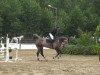 jumper Corzado (Westphalian, 2010, from Cornado NRW)