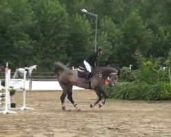 jumper Corzado (Westphalian, 2010, from Cornado NRW)