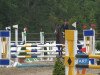 jumper Nick Never (KWPN (Royal Dutch Sporthorse), 2004, from Now Or Never M)