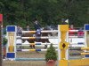 jumper Ramazotti 112 (German Riding Pony, 2001, from Oosteinds Ricky)