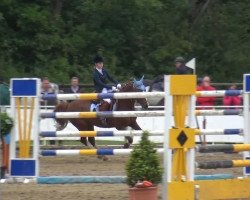 jumper Ramazotti 112 (German Riding Pony, 2001, from Oosteinds Ricky)