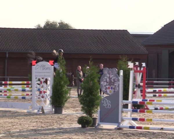 Reitturnier Dortmund-Barop 2020