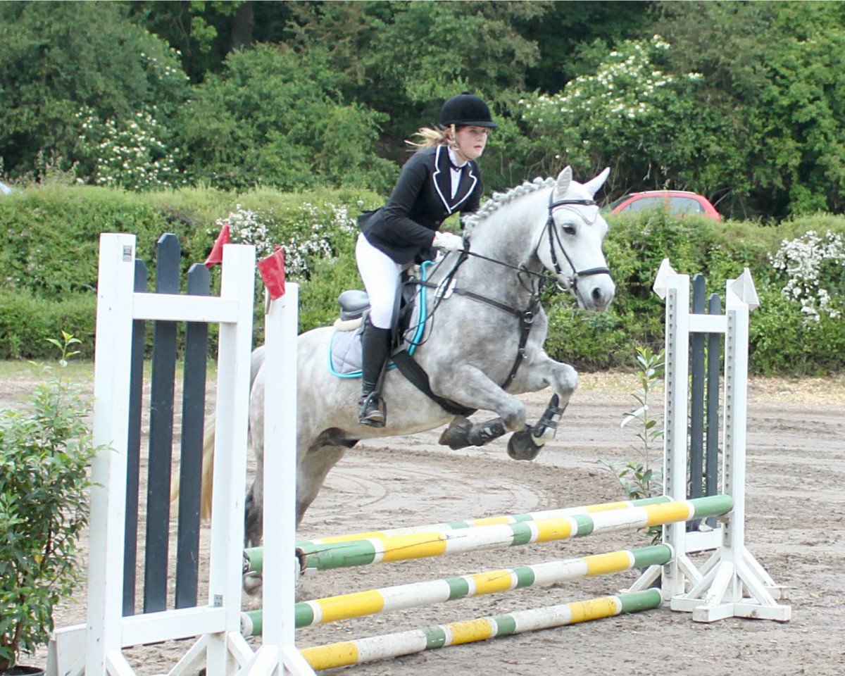 jumper Coocoon (Connemara Pony, 2008, from Fernville Danny)