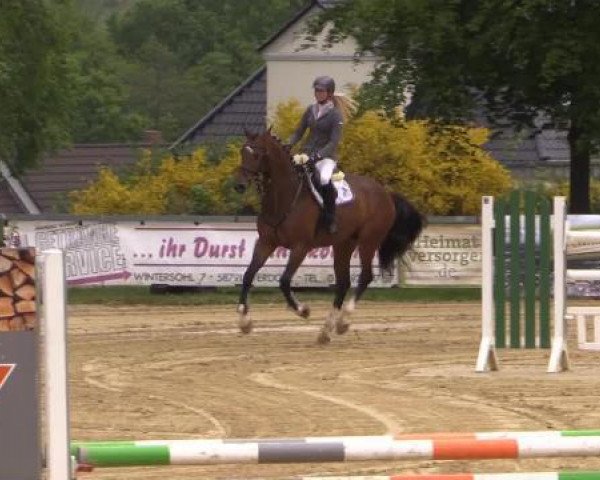 dressage horse Liebelei 52 (Holsteiner, 2011, from Larimar)