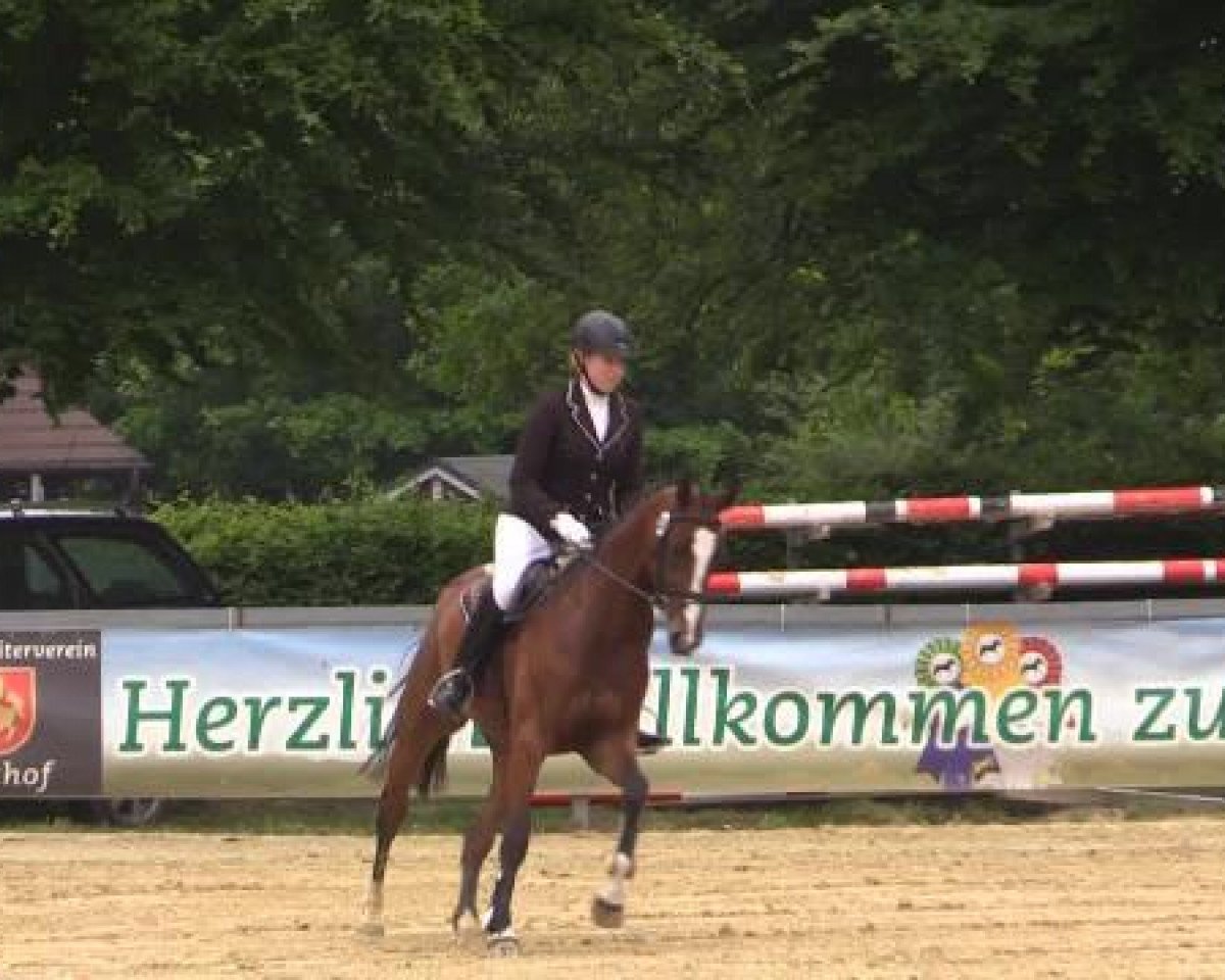 jumper Ciara Belle (Oldenburg, 2010, from Captain Fire)