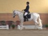 dressage horse Caribic Boy (unknown, 2000)