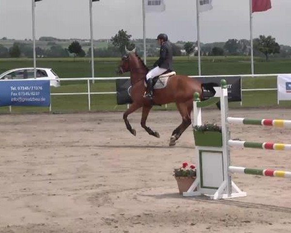 jumper Dylon (KWPN (Royal Dutch Sporthorse), 2008, from Whitaker)