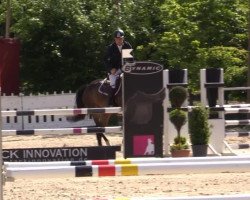 jumper Chaclonda (Hanoverian, 2010, from Chacco-Blue)