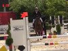 jumper Cattleya 2 (Oldenburg show jumper, 2010, from Conthargos)