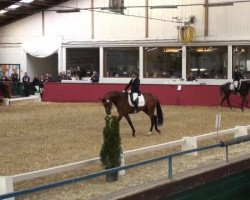 dressage horse Floresco's Son (Oldenburg, 2011, from Floresco NRW)