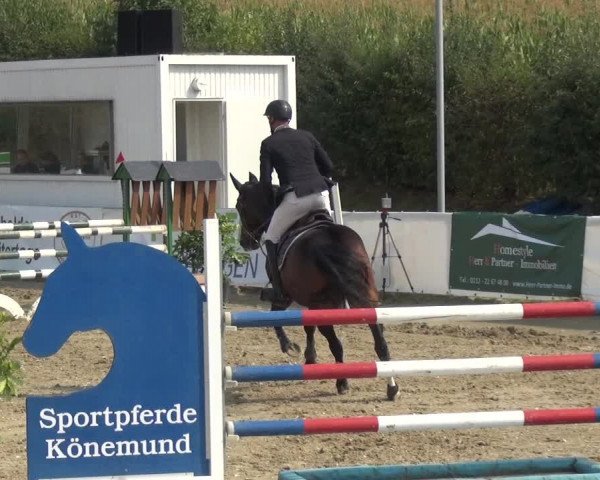 Reitturnier Leichlingen-Witzhelden 2020