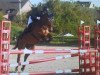 jumper Nic' s naturell Surprice (German Riding Pony, 2003, from Nic Nimbo)