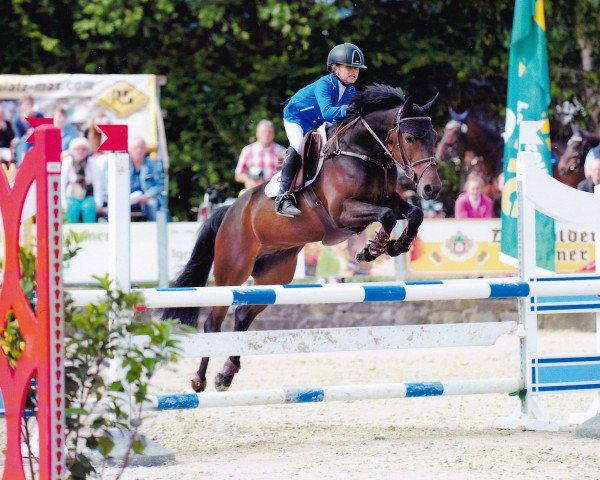 jumper Castano 17 (German Riding Pony, 2008, from Cyriac WE)