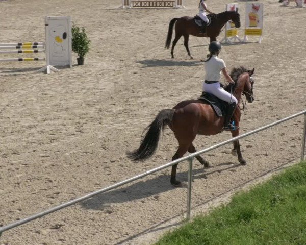 Reitturnier Ehningen 2020