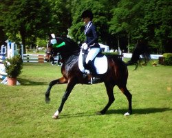 dressage horse Mathilda la esperanza (German Riding Pony, 2009, from Miraculix)