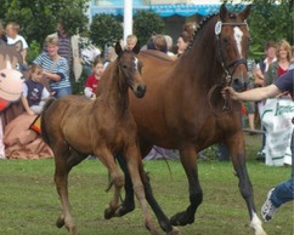 broodmare Jeversche Rose (Oldenburg, 1990, from Rouletto)