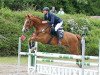 jumper Iron Man H (German Warmblood, 2009, from Idefix)