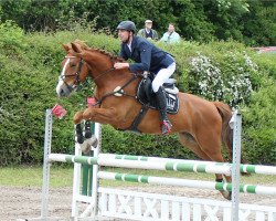 jumper Iron Man H (German Warmblood, 2009, from Idefix)