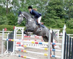 jumper Frau Antje (KWPN (Royal Dutch Sporthorse), 2009, from Diamant de Semilly)