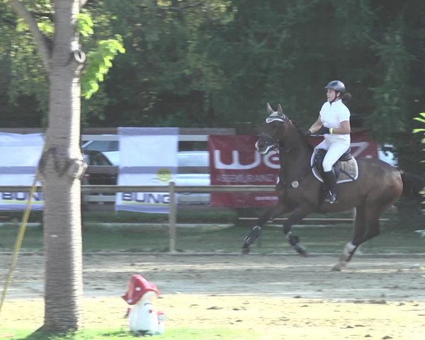 Reitturnier Walldorf/Winterheck 2020