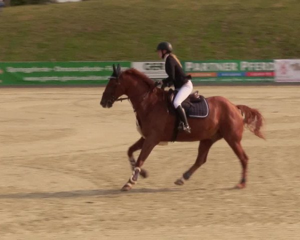 Reitturnier Redentin/Krusenhagen 2020