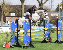 jumper VDL Groep Zamboa (KWPN (Royal Dutch Sporthorse), 2004, from Berlin)