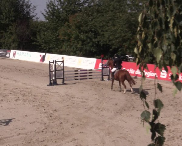 Reitturnier Oberfrauendorf 2020