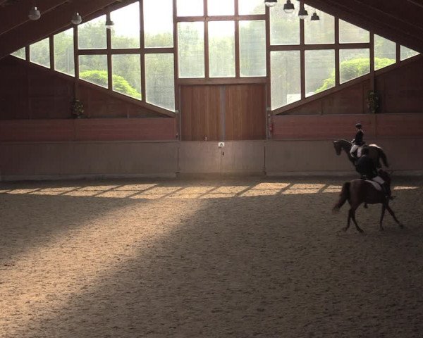 Reitturnier Dortmund-Barop 2020