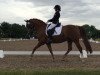 dressage horse Ulfenbach Danilo C (German Riding Pony, 2000, from Ulfenbach Dream Boy)