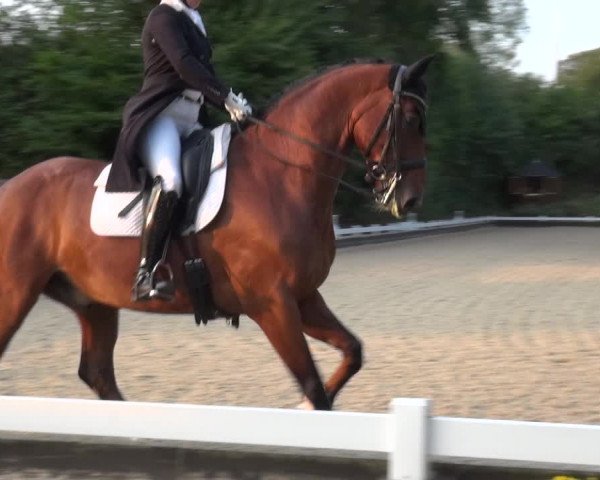 Reitturnier Mettmann - Reitanlage Löckenhoff 2020