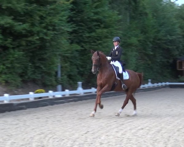 Reitturnier Mettmann - Reitanlage Löckenhoff 2020