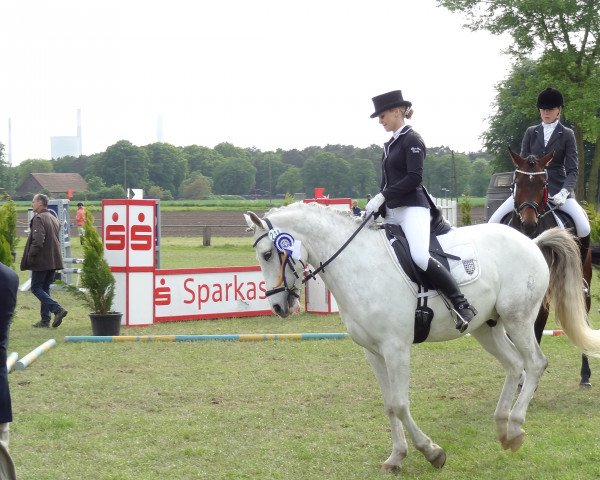 dressage horse Dein Filou (German Riding Pony, 2006, from Dein Freund)