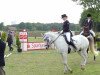 dressage horse Dein Filou (German Riding Pony, 2006, from Dein Freund)