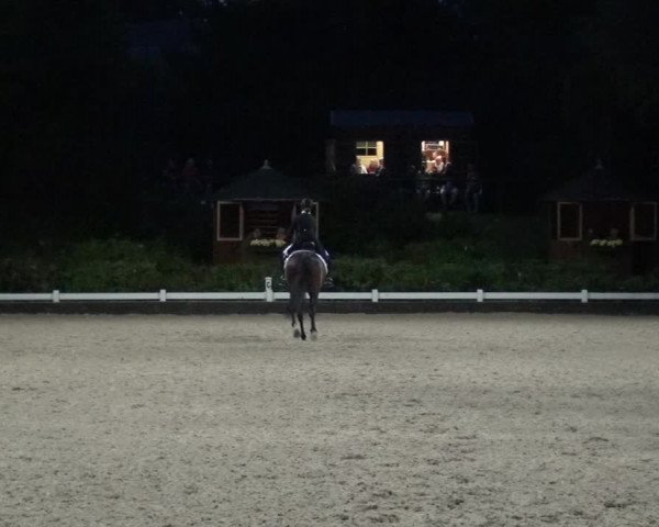 Reitturnier Mettmann - Reitanlage Löckenhoff 2020