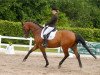 dressage horse Chico B (Oldenburg, 2001, from Castellini)