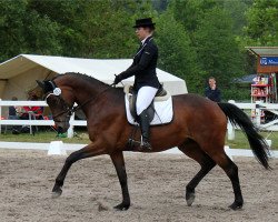 broodmare Pretoria (Trakehner, 2005, from Cadeau)