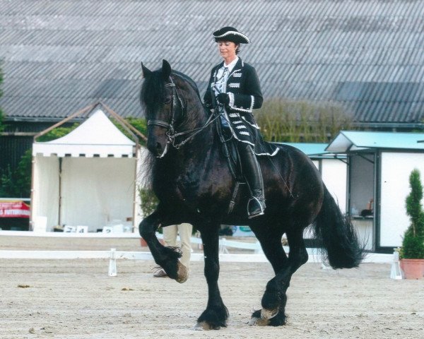 horse Hengst von Sibald (Friese, 2002, from Sibald 380)