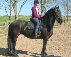 broodmare Winnie (Friese, 2007, from Arjon Z)