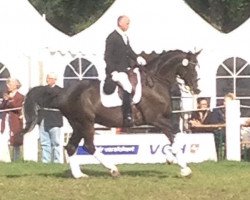 dressage horse Passepartout 57 (Trakehner, 2001, from Charly Chaplin)