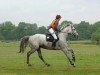 broodmare Liebelei v.Wartenberg (German Warmblood, 1998, from Carolus I)