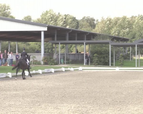 Reitturnier Gut Hohenkamp / Dorsten 2020