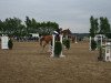 jumper Chilly Billy (Oldenburg show jumper, 2006, from Champion For Pleasure)