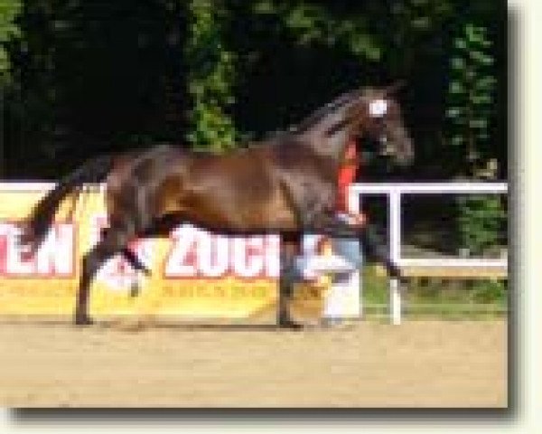 broodmare Lucie (German Sport Horse, 2001, from Lucky Champ)