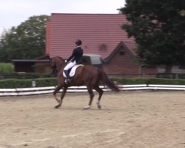 Reitturnier Ochtrup 2020