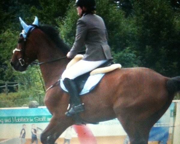 jumper All Star 2 (Hanoverian, 2000, from Adlantus As)