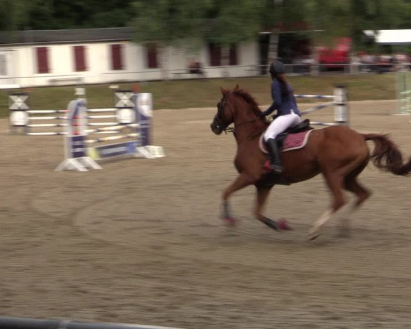 Reitturnier Lgl.-Oberhain, B95 2021