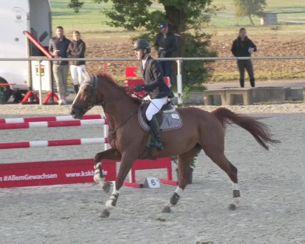 Reitturnier Ehningen 2020