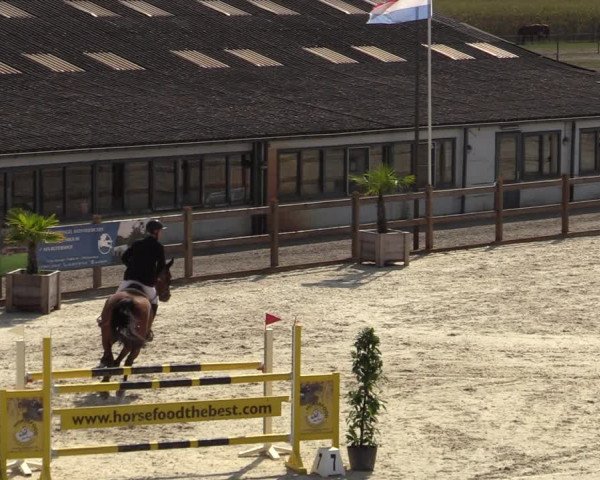 Gouden Laars Grote Brogel 2020