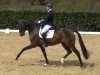 dressage horse Florina 146 (Hanoverian, 2010, from Fürst Romancier)